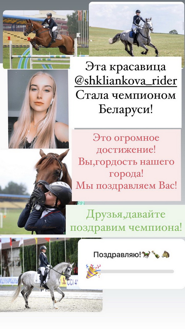 Shk 2020